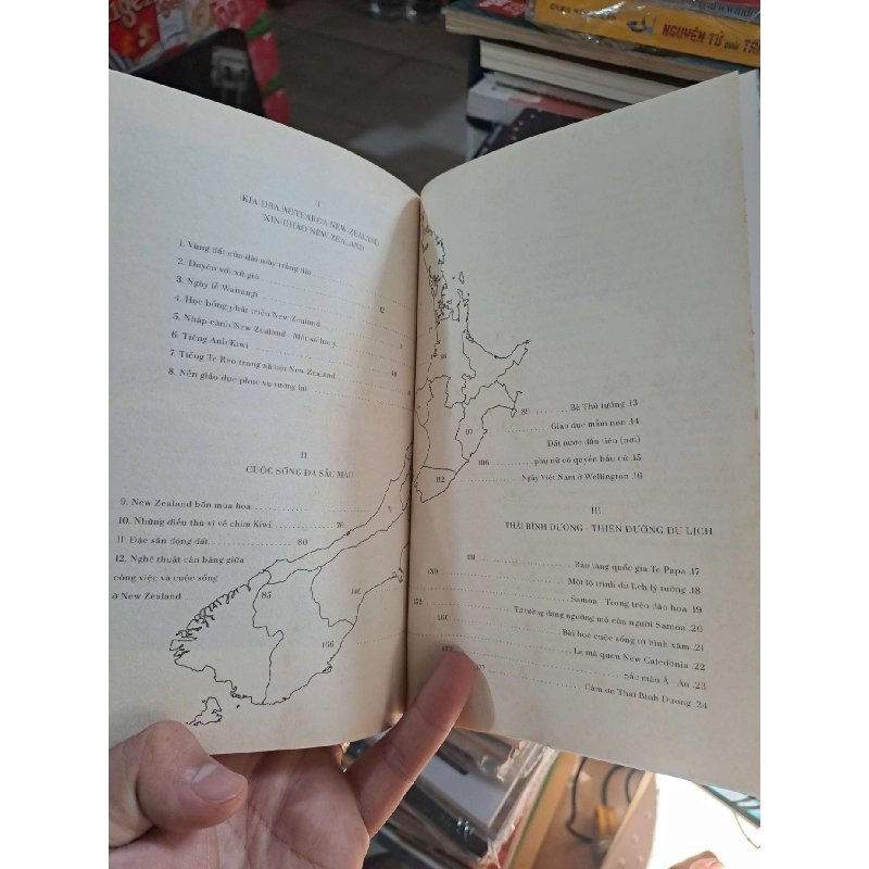 Duyên Nợ Thái Bình Dương - Nguyễn Phương Lan - 2020 mới 80% - VĂN HỌC - HMT3012 921552