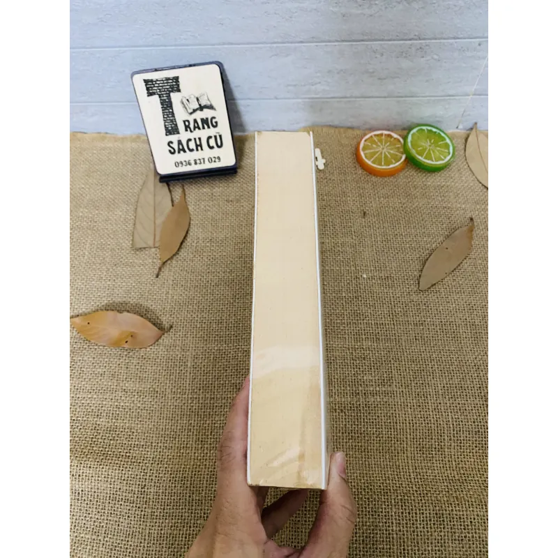 Gió mang những ký ức thổi thành những cánh hoa 1012901