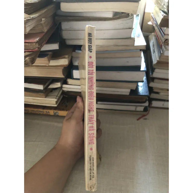 Đời tôi, những điều nghe thấy và sống-Hà Huy Giáp 969958