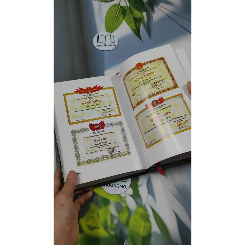 Người Chỉ Đường Đi Tìm Hài Cốt Mất Tích - Hồ Văn Dũ 750280