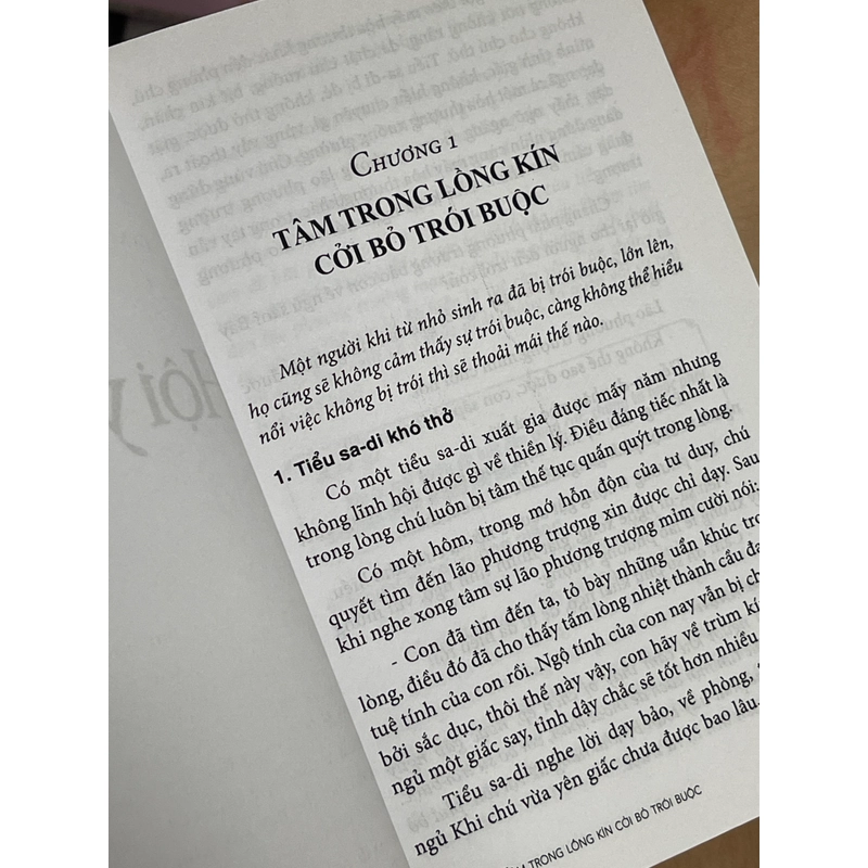 Hội ý thiền - Chu Quốc Bình 469604