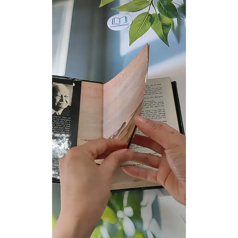 Nê-Bít-Đắc (1983) - Béc-dư Kéc-ba-ba-ep 607736