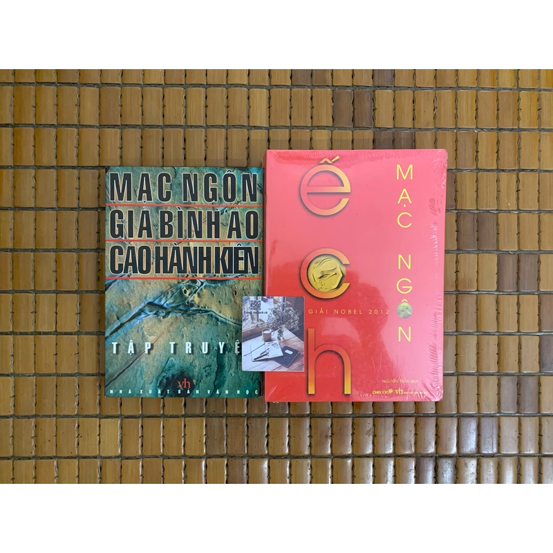 Mạc Ngôn Giả Bình Ao Cao Hành Kiện tập truyện 502501