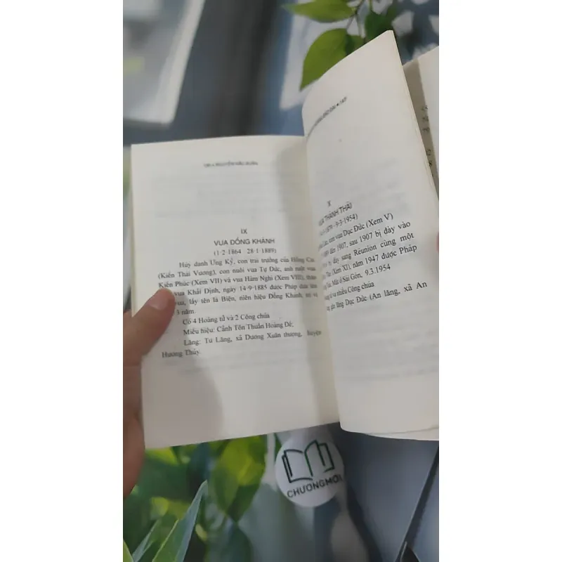 Chuyện Nội Cung Cựu Hoàng Bảo Đại - Nguyễn Đắc Xuân 970254