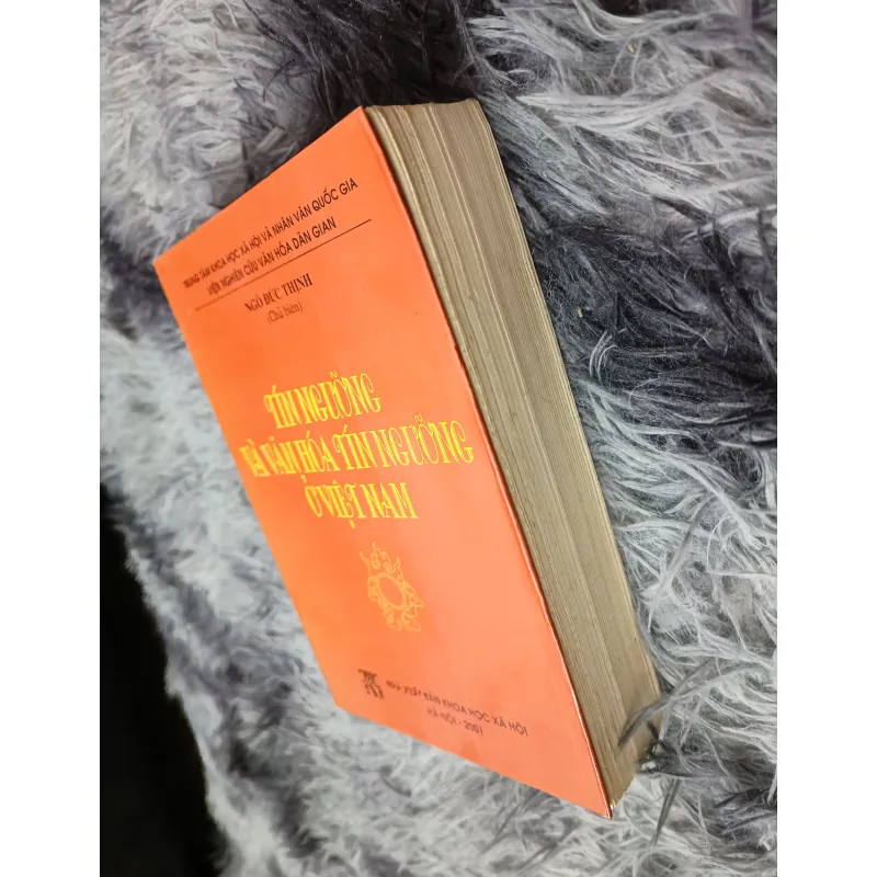 Tín ngưỡng và văn hóa tín ngưỡng ở Việt Nam (Ngô Đức Thịnh) 791097