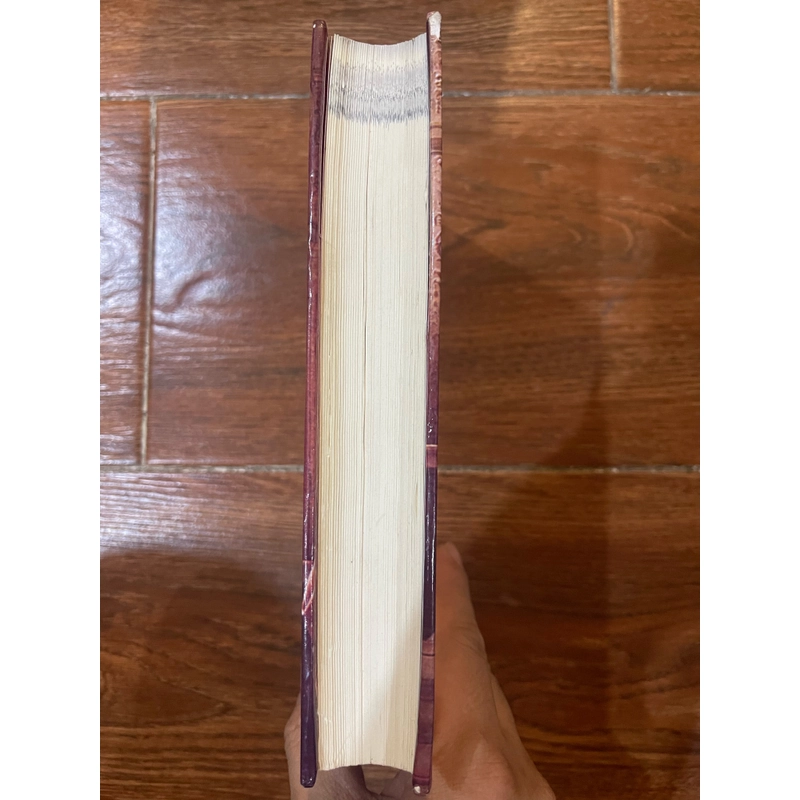 Nhà Thờ Đức Bà Pari - Victor Hugo (k4) 474725