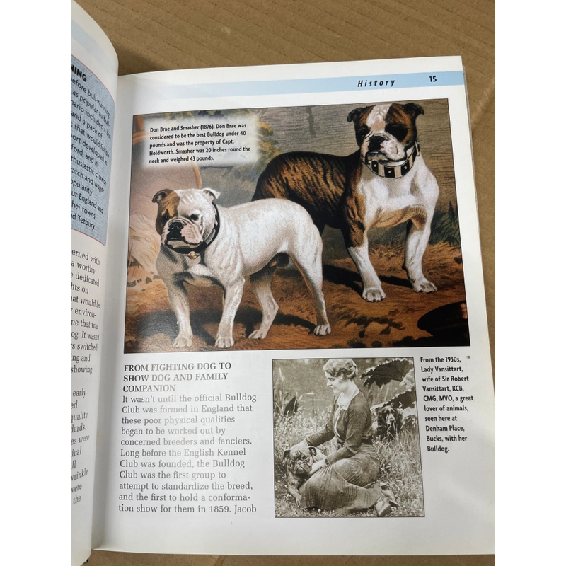 Bulldog - A Kennel Club Book 313504