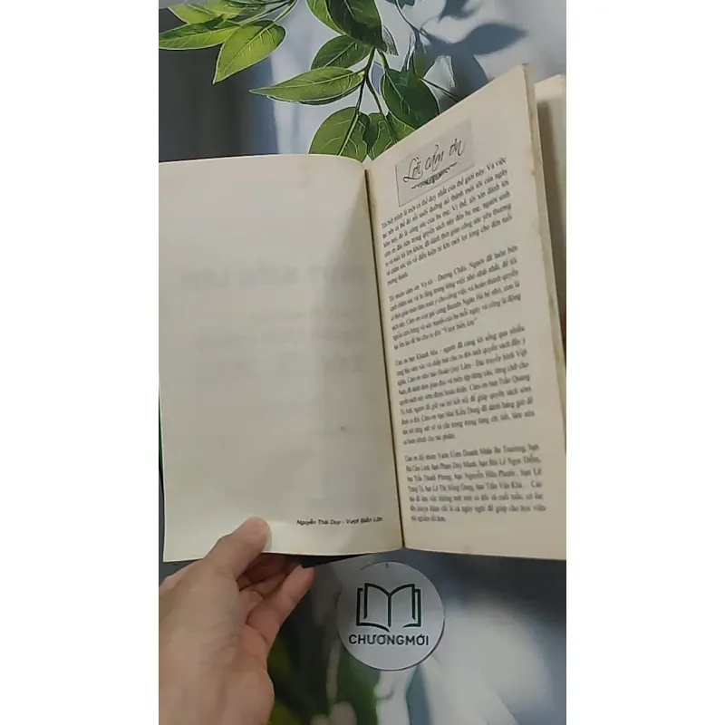 Vượt biển lớn: Cách đi lên của người khởi nghiệp từ 5 xu - Nguyễn Thái Duy 688542