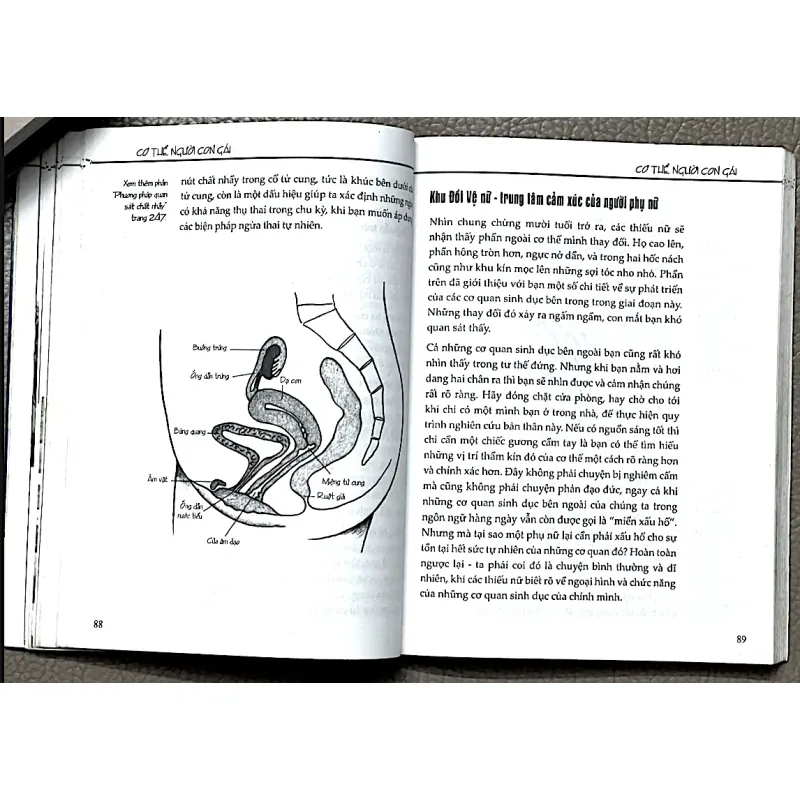 TẤT CẢ NHỮNG GÌ THIẾU NỮ MUỐN BIẾT - TRUDE AUSFELDER 1029798