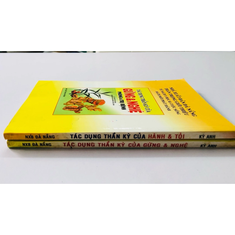 TÁC DỤNG THẦN KỲ CỦA HÀNH TỎI GỪNG NGHỆ  359914