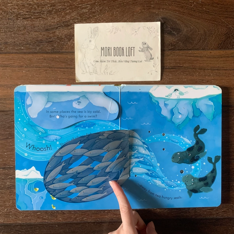 Sách ngoại văn Peep Inside The Sea - M.ấ.t Flap trang 1,3, miếng lật cũ, Used 540734