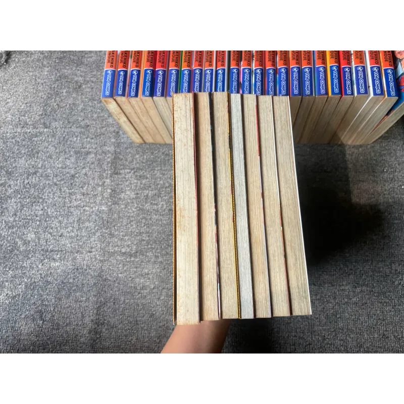 Truyện Slamdunk Cao Thủ Bóng Rổ Tái Bản - Trọn Bộ 31 Tập - NXB Trẻ 291487