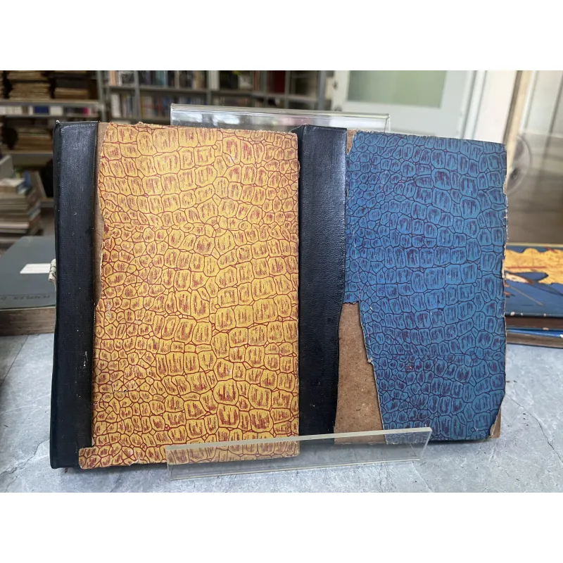 CỘI RỄ - DƯƠNG TƯỜNG 797723