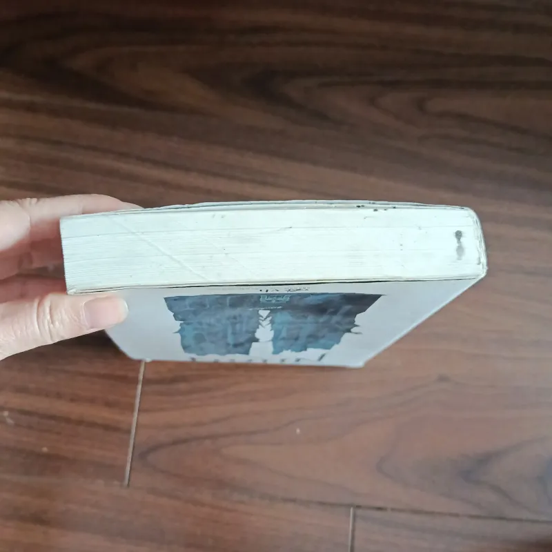 Chúa tể những chiếc nhẫn - đoàn hộ nhẫn 934835