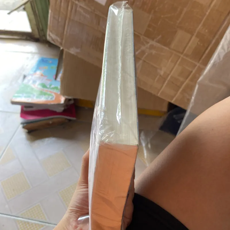 Băng Bernard Minier 574517