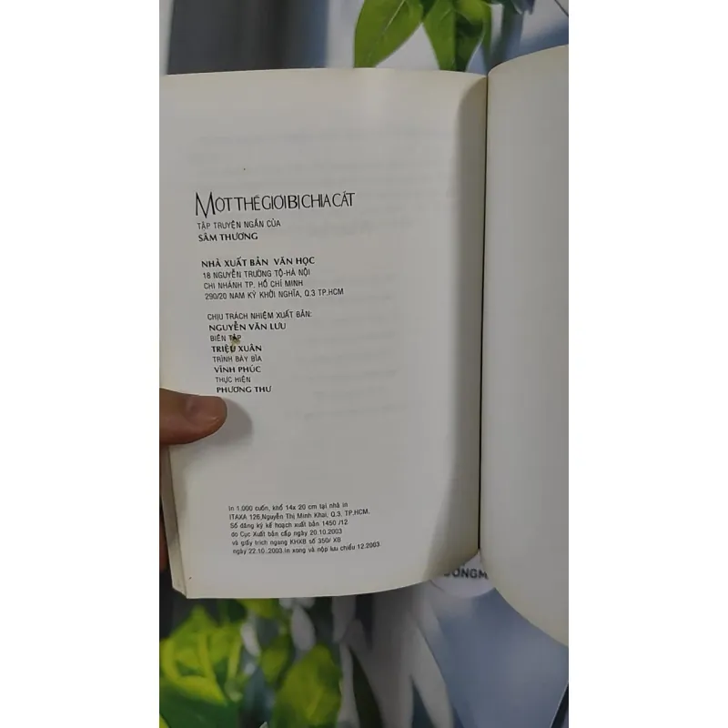 Một Thế Giới Bị Chia Cắt - Sâm Thương 798433