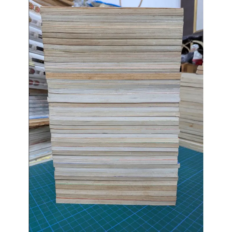 TRUYỆN TRANH INUYASHA 2001 276551