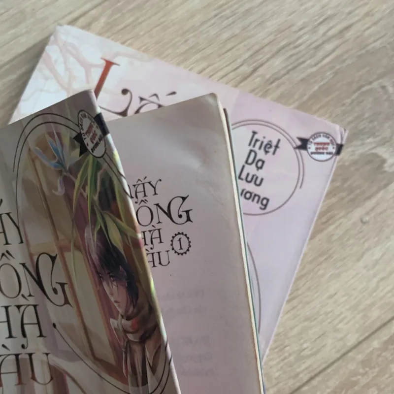 Lấy chồng nhà giàu - Triệt Dạ Lưu Hương 558988