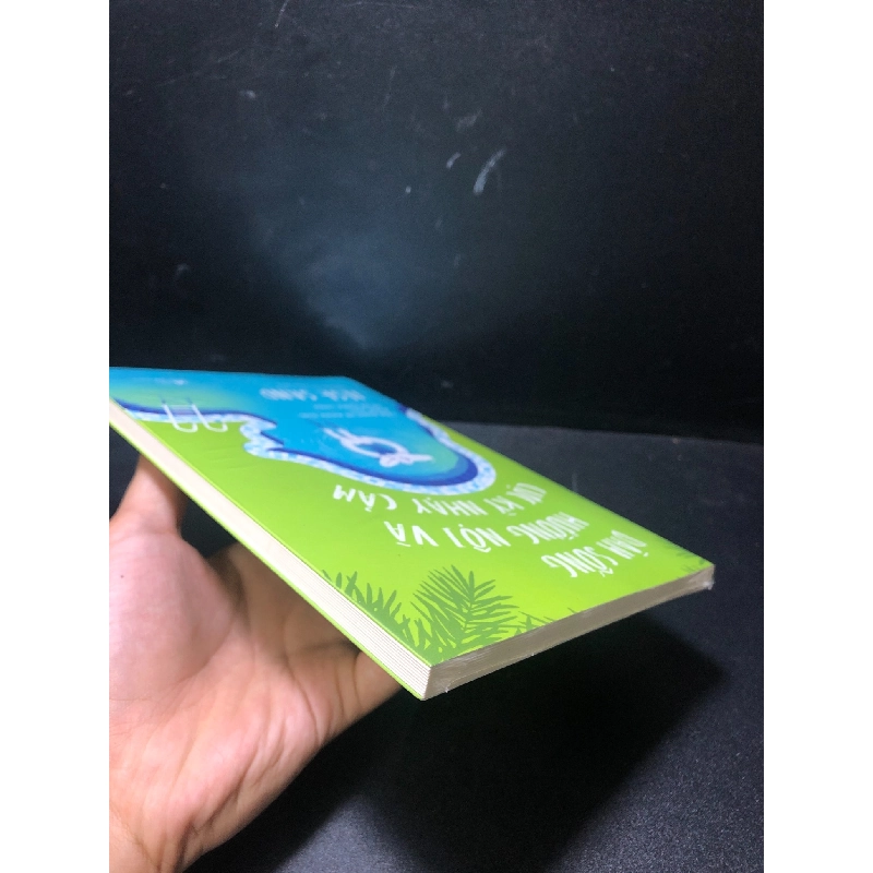 Dàm sống hướng nội và cực kỳ nhạy cảm Ilse Sand mới 100% HCM1011 912366