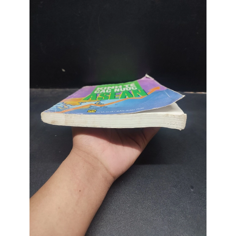 Kinh tế các nước ASEAN - Nguyễn Thị Thúy Hồng 2008 mới 70% ố ẩm HCM0305 kinh tế 914171