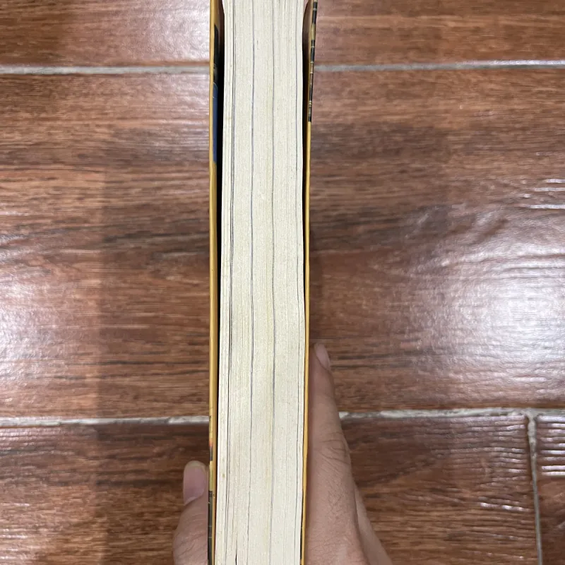 Xuyên Mỹ - Phan Việt (15) 1002669