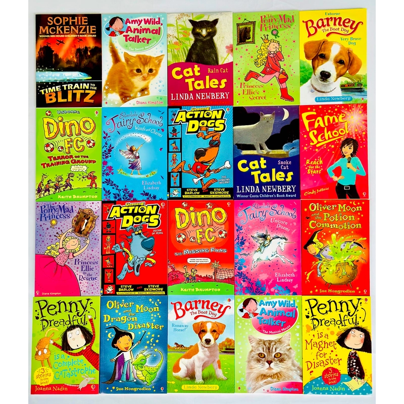 USBORNE ACCELERATED READER STORY COLLECTION 20 Books Box Set 384264