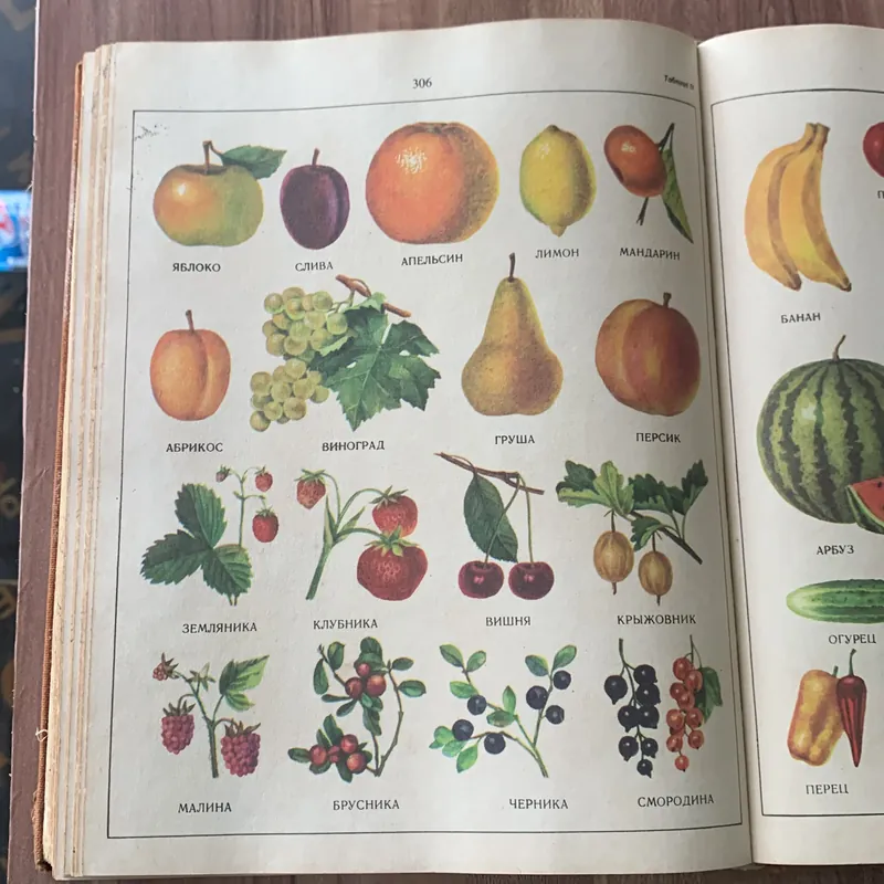 4000 từ phổ biến nhất trong tiếng Nga: 4000 НАИБОЛЕЕ УПОТРЕБИТЕЛЬНЫХ СЛОВ РУССКОГО ЯЗЫКА 673853