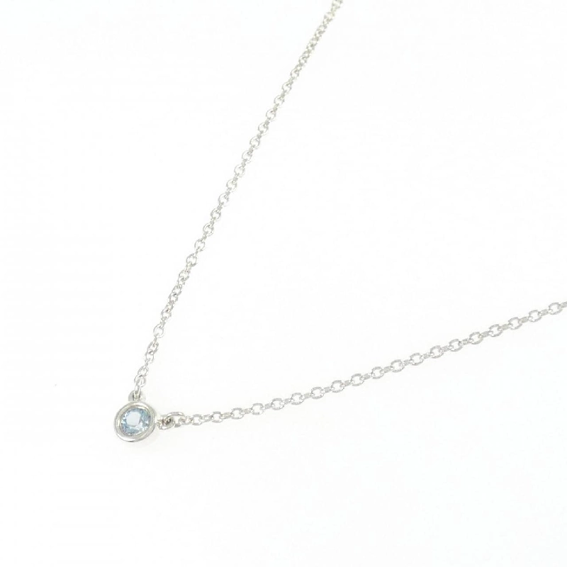 Dây chuyền Tiffany By The Yard - Hàng hiệu Authentic 841668