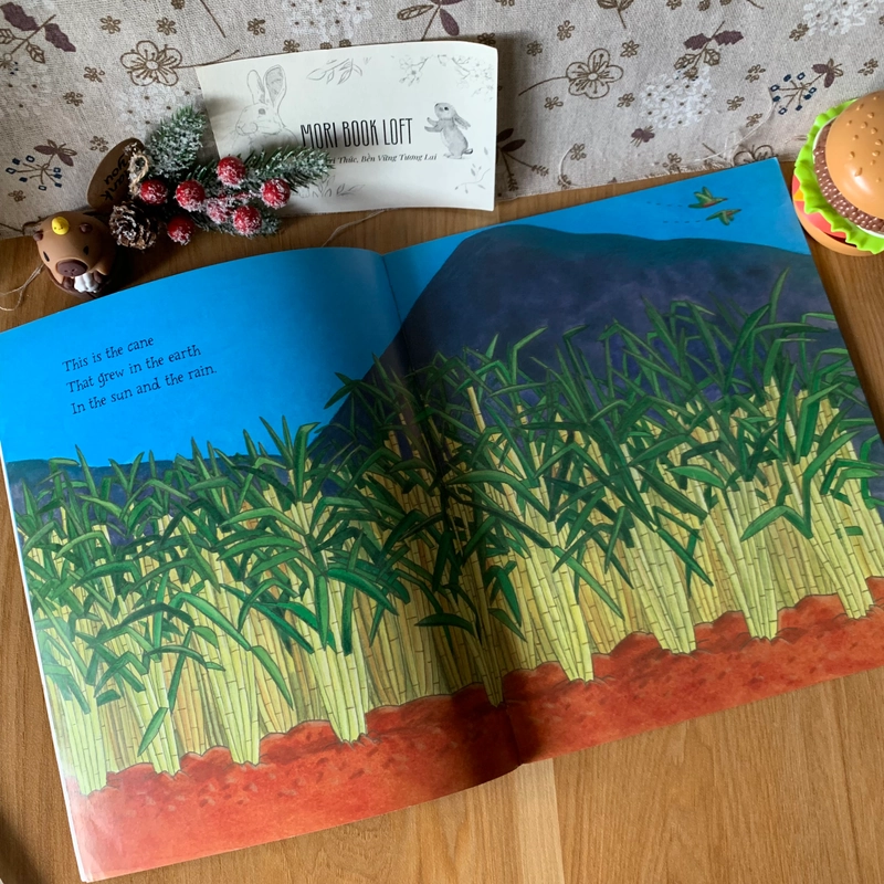 Sách tranh Sticky Jam: The Story of Sugar, Used, Picture Book For Kids 444083