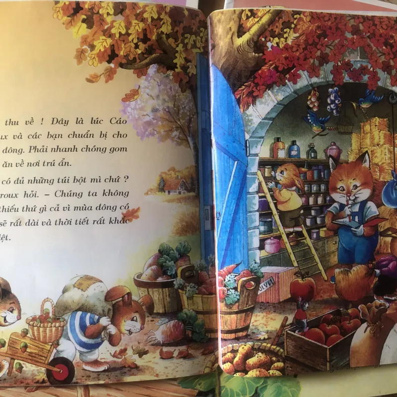 Tủ sách búp bê - combo 5c  1004087