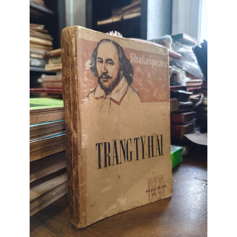 Trăng Tỳ Hải - Shakespeare ( Bùi Giáng Dịch ) 194076