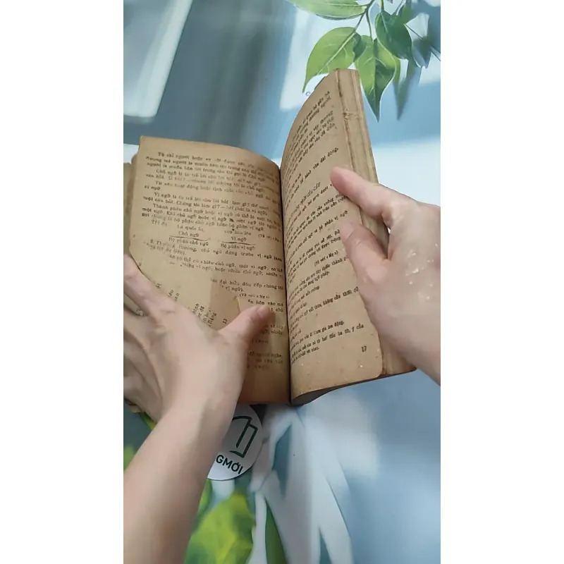 [XƯA] Tài liệu Tiếng Việt Cấp 2 - Sách Bổ túc văn hóa (1986) 776091