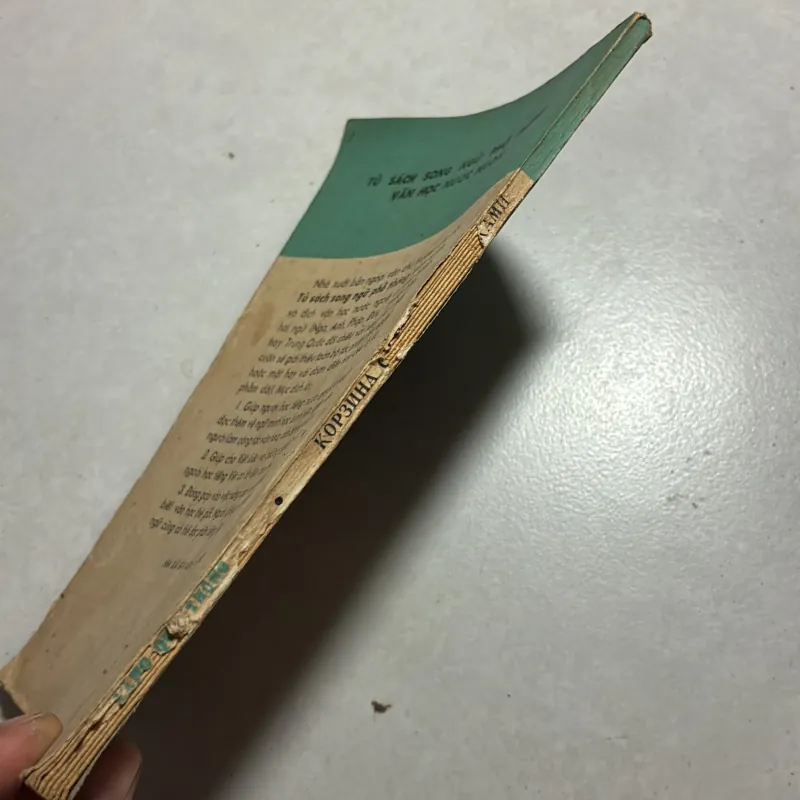 Lẵng quả thông (Song ngữ Nga - Việt) 797597