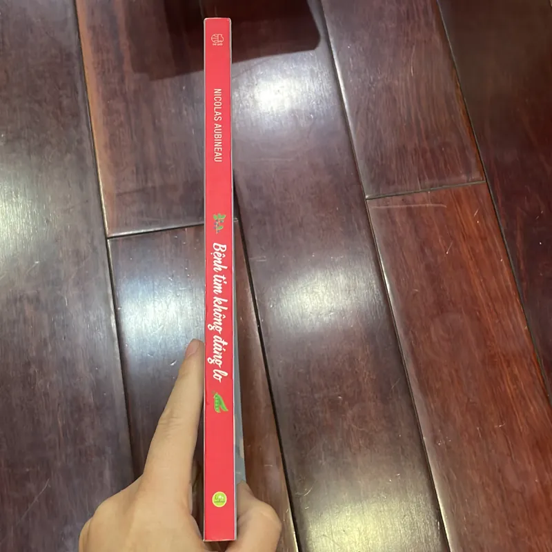 BỆnh tim không đáng lo - Nicolas Aubineau - chế độ dinh dưỡng toàn diện để chăm sóc sức 1035904