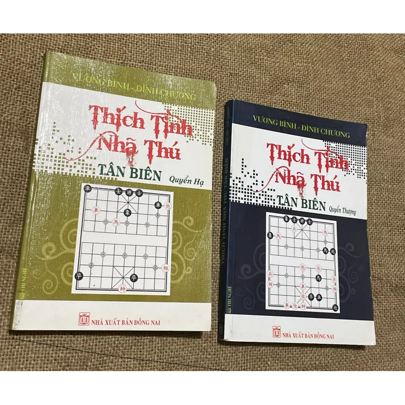 SÁCH CỜ TƯỚNG- THÍCH TÌNH NHÃ THÚ TẦN BIÊN CUỐN THƯỢNG _ VÀ HẠ 568862