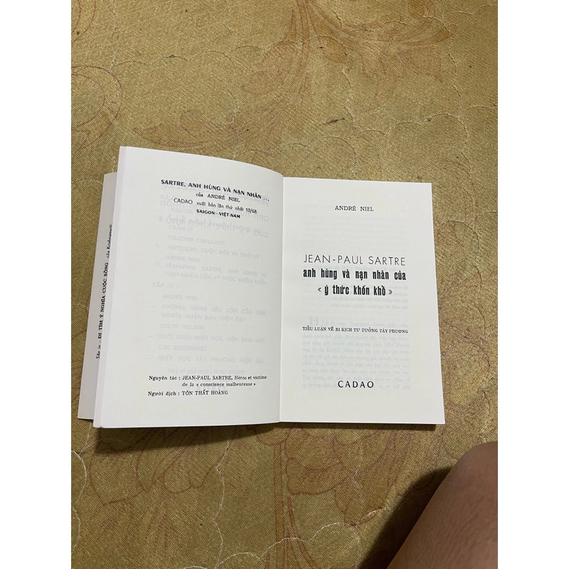 Anh hùng và nạn nhân của “Ý thức khốn khổ” - Jean Paul Sartre 470896