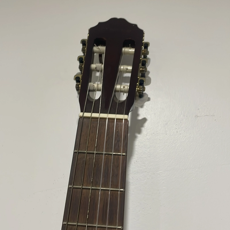 Đàn guitar thường RidgeWay model C6100 508030