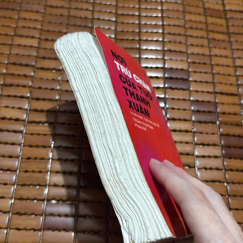 Nơi trú chân của tuổi thanh xuân  527324