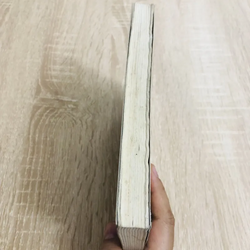 NHỮNG TIỂU LUẬN VĂN HỌC VÀ NHỮNG BÀI VIẾT KHÁC 970541