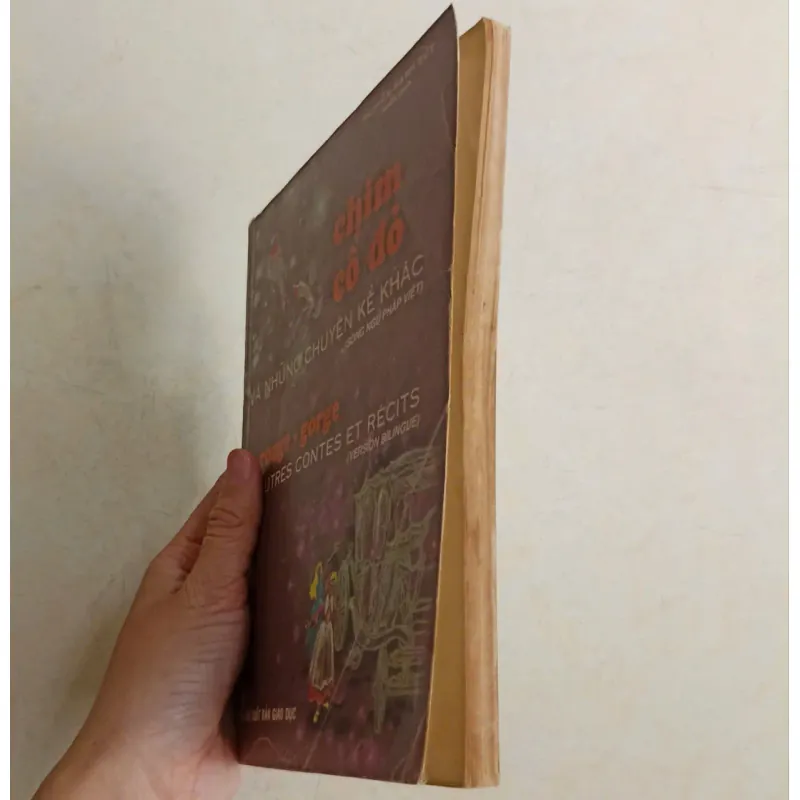 Chim cổ đỏ và những chuyện kể khác 🌻 588533