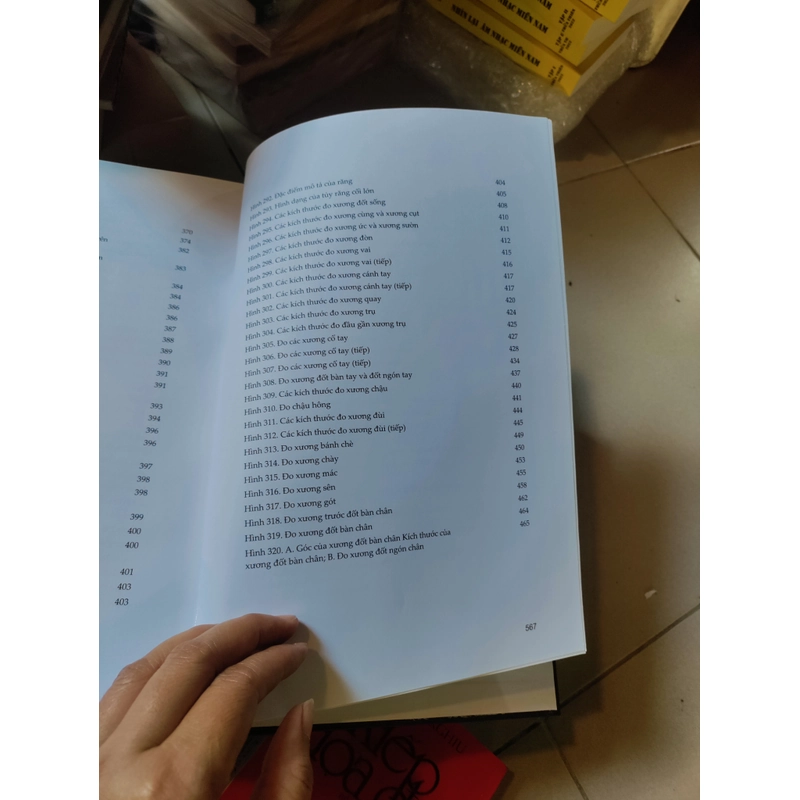 Bộ xương người nói với chúng ta điều gì 526451