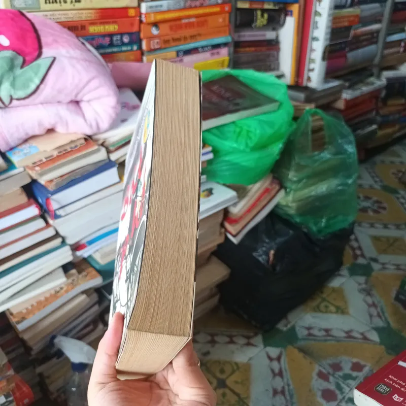 Bát Phố - Nguyễn Bảo Sinh 1007287