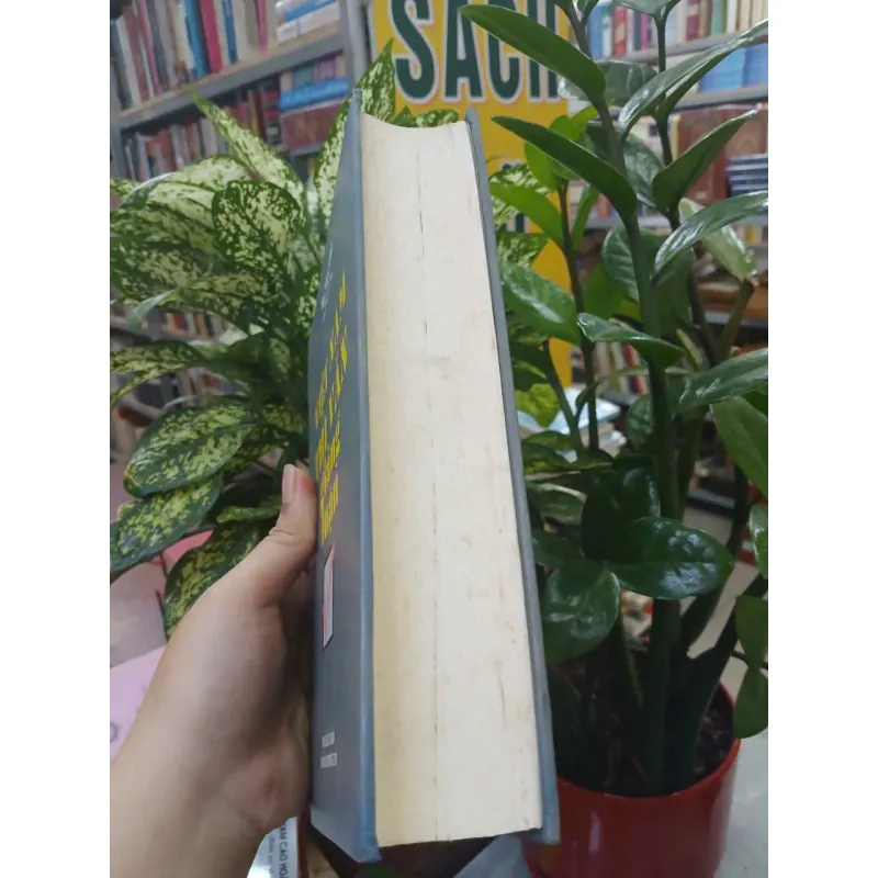 VIỆT NAM THI VĂN GIẢNG LUẬN (BÌA CỨNG) - HÀ NHƯ CHI 1028213