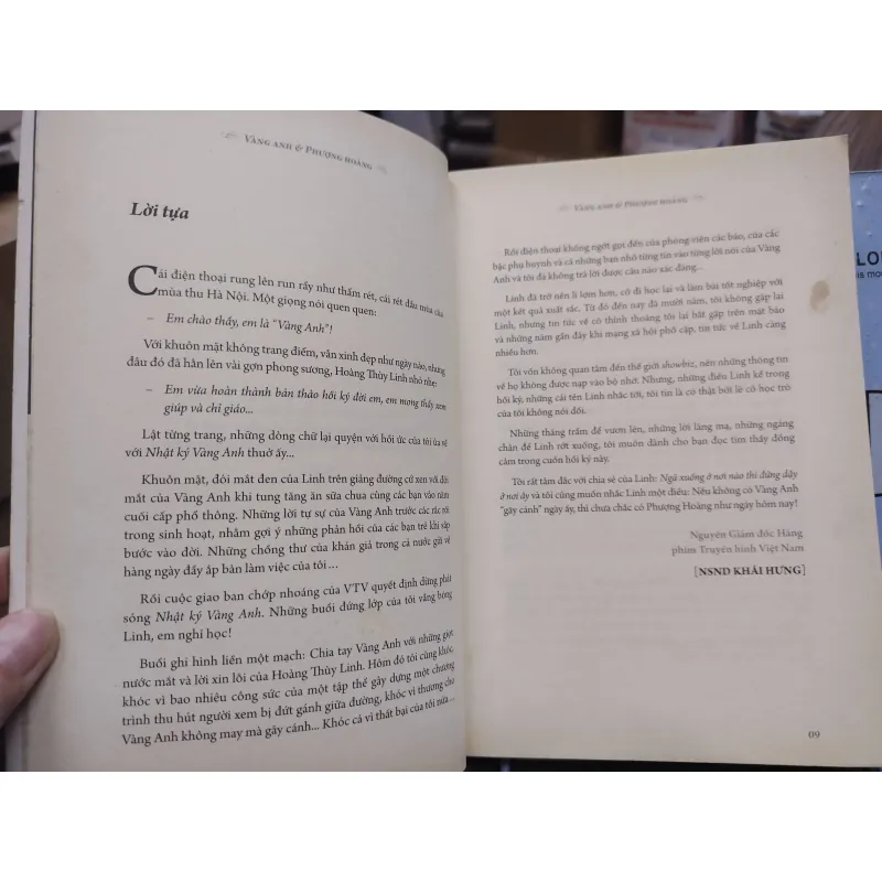 Sách: Vàng Anh và Phượng Hoàng - TG: Trần Minh (B1) 732578