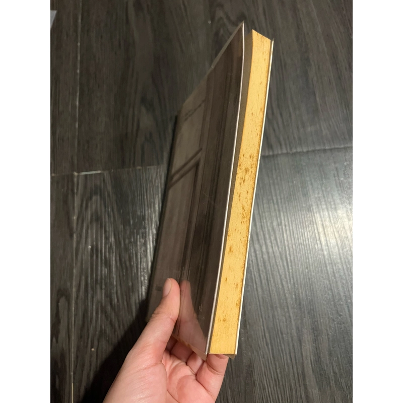 Và khi tro bụi - Đoàn Minh Phượng 314809