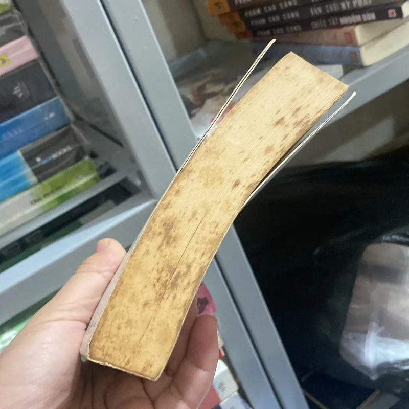 Nếu em là truyền thuyết của anh - Diệp Tử 960336