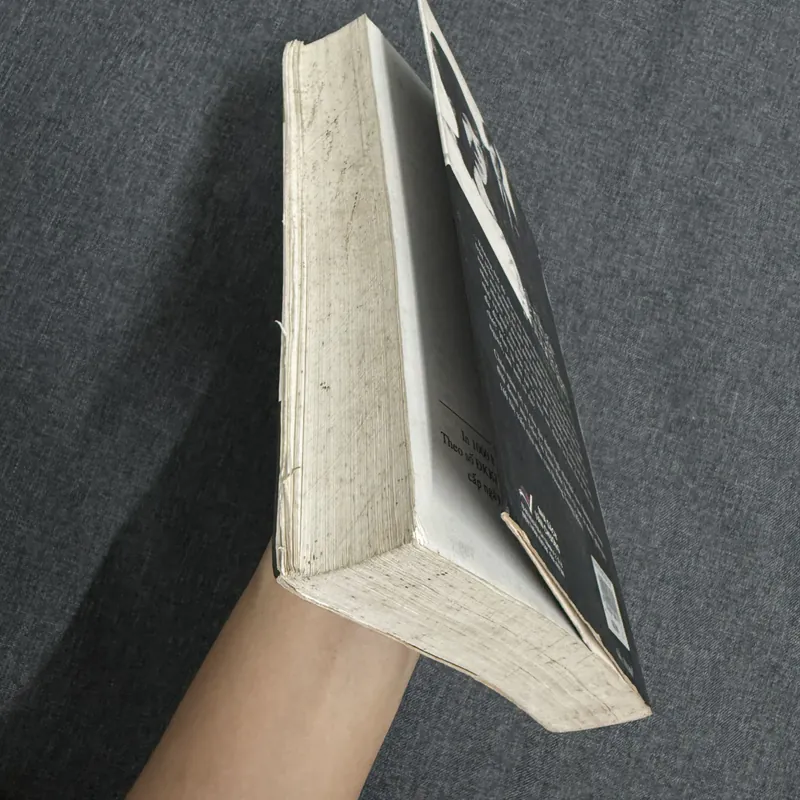 Sách Đệ nhất phu nhân Trần Lệ Xuân - Hoàng Trọng Miên 739106