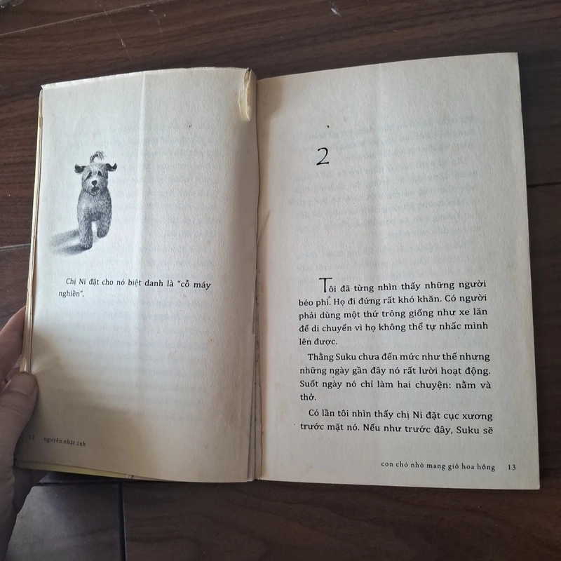 Con chó nhỏ mang giỏ hoa hồng 524395