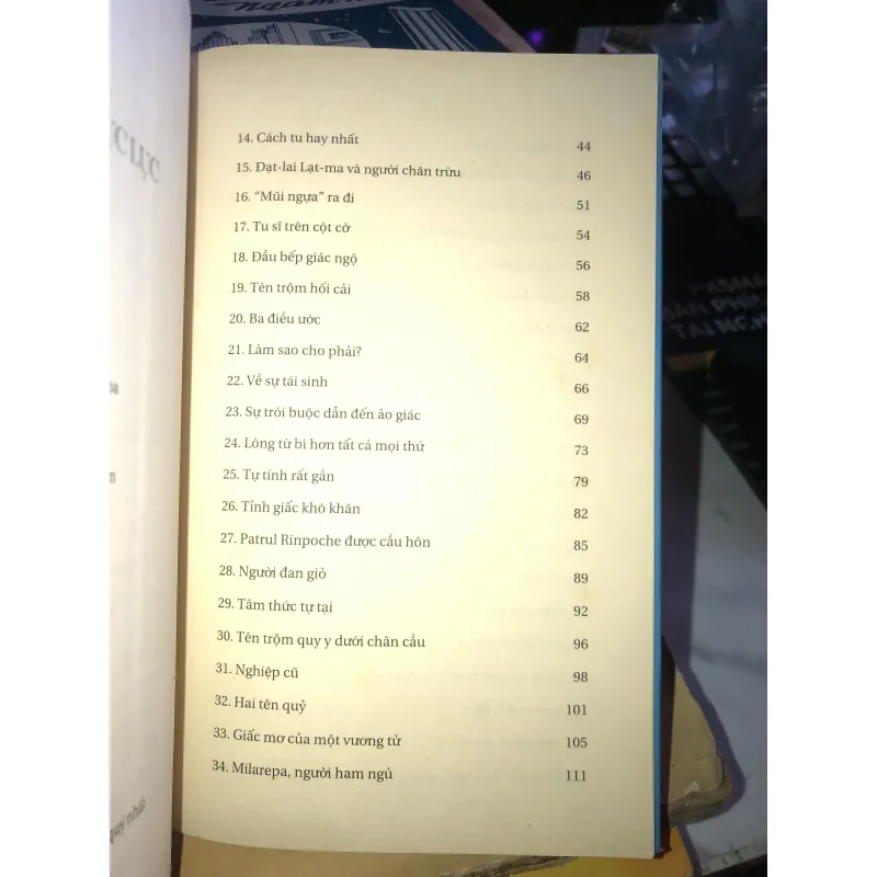 Sư tử tuyết bờm xanh - Surya Das 1021747