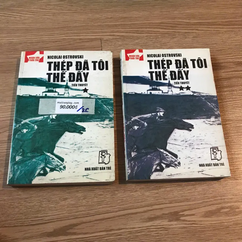 Thép đã tôi thế đấy (2 cuốn) - Nicolai Ostrovski 680928